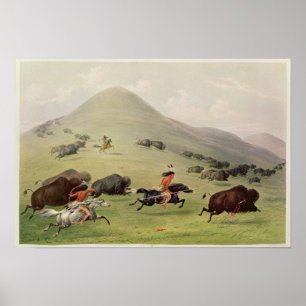 Póster La caza de búfalos, c.1832