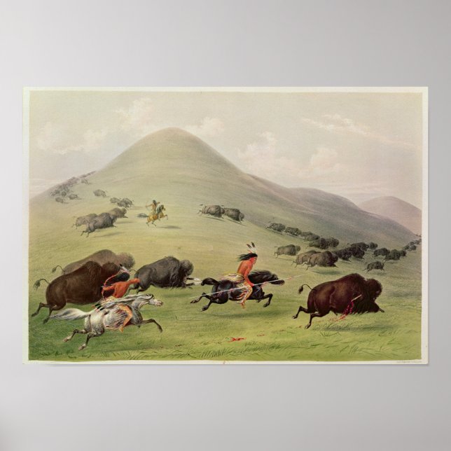 Póster La caza de búfalos, c.1832 (Frente)