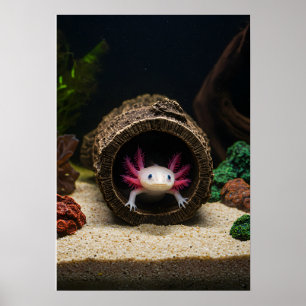 Póster La cima de la Axolotl