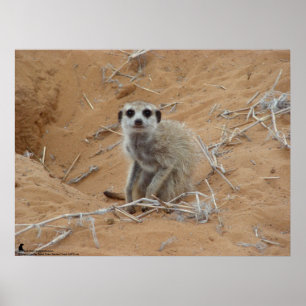 Póster La colección de Fluffernutter - sonriendo