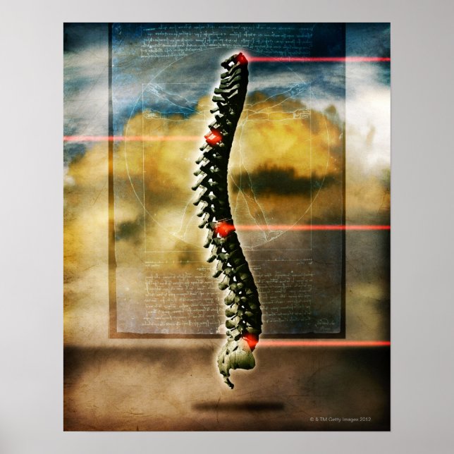 Póster La columna vertebral humana (Frente)