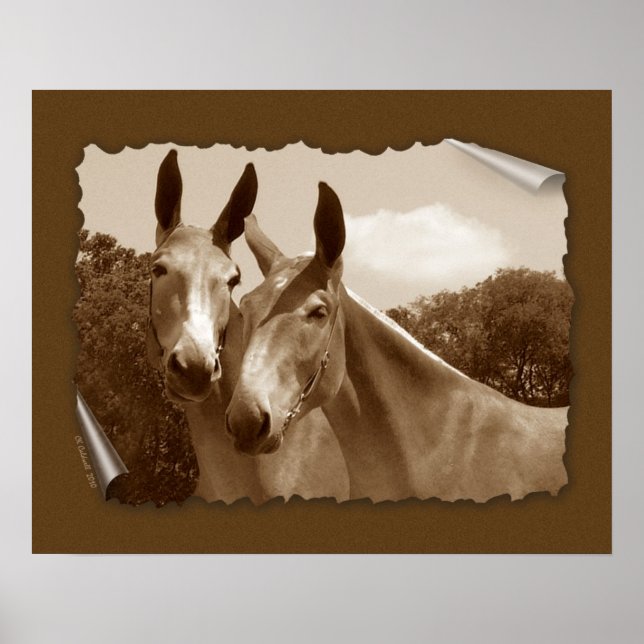 Póster La conversación (Frente)