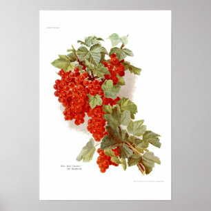 Póster La Corriente Roja 'El Sureño'