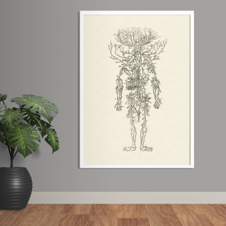 Póster La cosecha de anatomía humana de las arterias