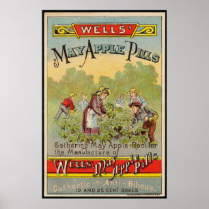 Póster La cosecha de las perlas de May