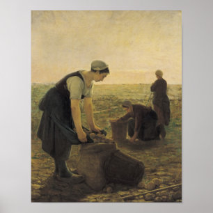 Póster La cosecha de papa