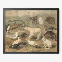 La cosecha del oso polar y los amigos de los anima