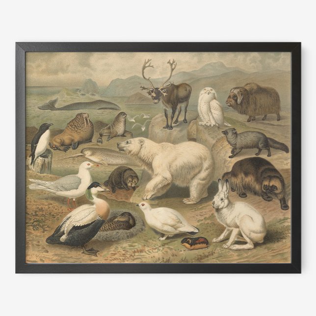 Póster La cosecha del oso polar y los amigos de los anima (Subido por el creador)