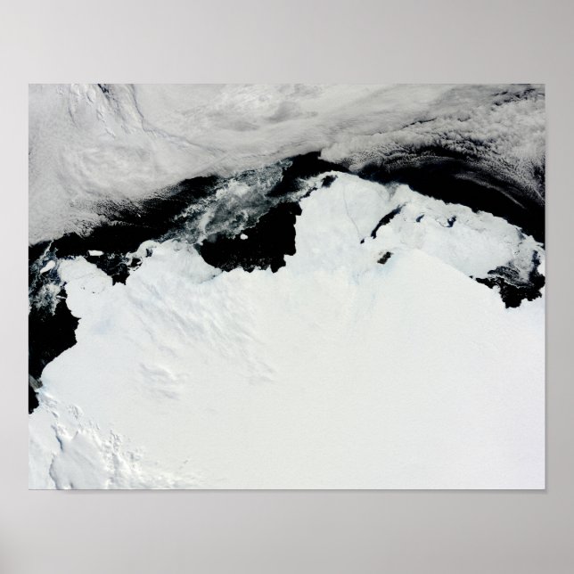 Póster La costa de la Reina María de la Antártida (Frente)