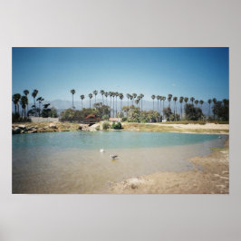 Póster La costa de Santa Bárbara