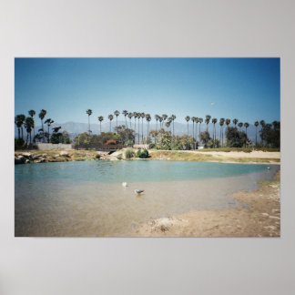 Póster La costa de Santa Bárbara