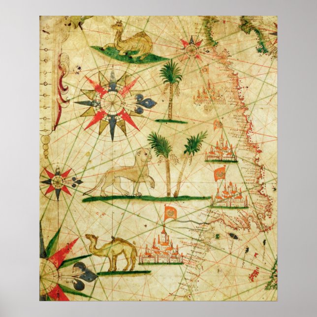 Póster La costa norte de África (Frente)