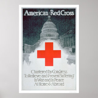 Póster La Cruz Roja es criticada por el Congreso (US00297