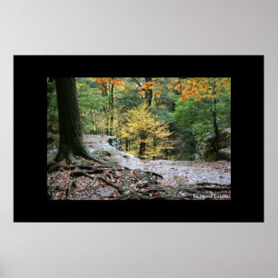 Póster La cueva Ridge#2 del viejo hombre