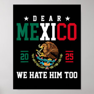 Póster La curiosa empatía mexicana: Querido México, tambi