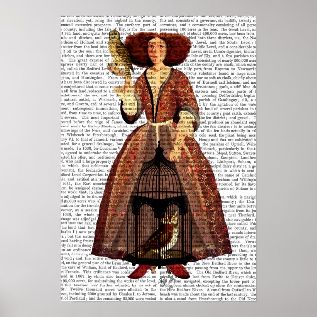 Póster La dama de búho (Frente)