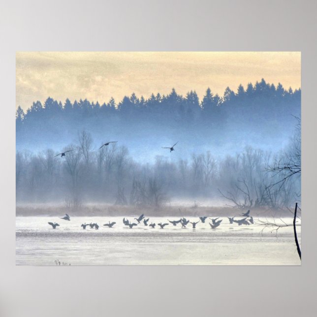 Póster La danza de los patos1 (Frente)