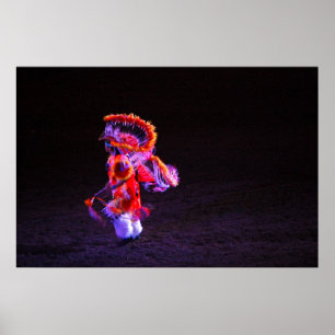 Póster La danza de lujo