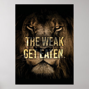 Póster La debilidad se come - León - Hustle