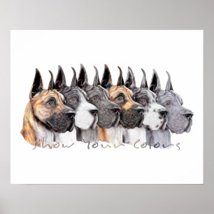 Póster La demostración de great dane colorea al grupo