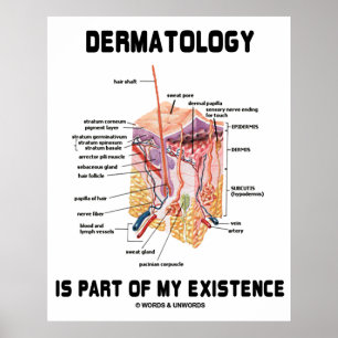 Póster La Dermatología Es Parte De Mi Existencia (Anatomí