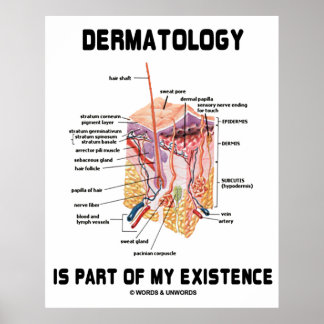 Póster La Dermatología Es Parte De Mi Existencia (Anatomí