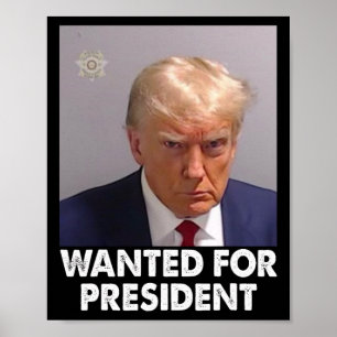 Póster La Disparación De Trump Funny Quería Presidente 20