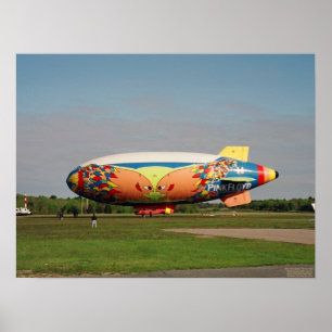 Póster La División Belle