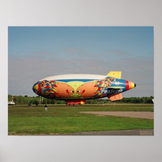 Póster La División Belle