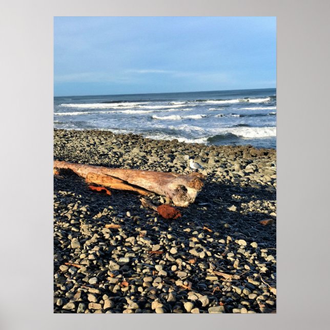 Póster La ensenada en la costa, Oregón (Frente)