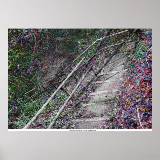 Póster La escalera superficial de Rowan Blair Colver (Frente)