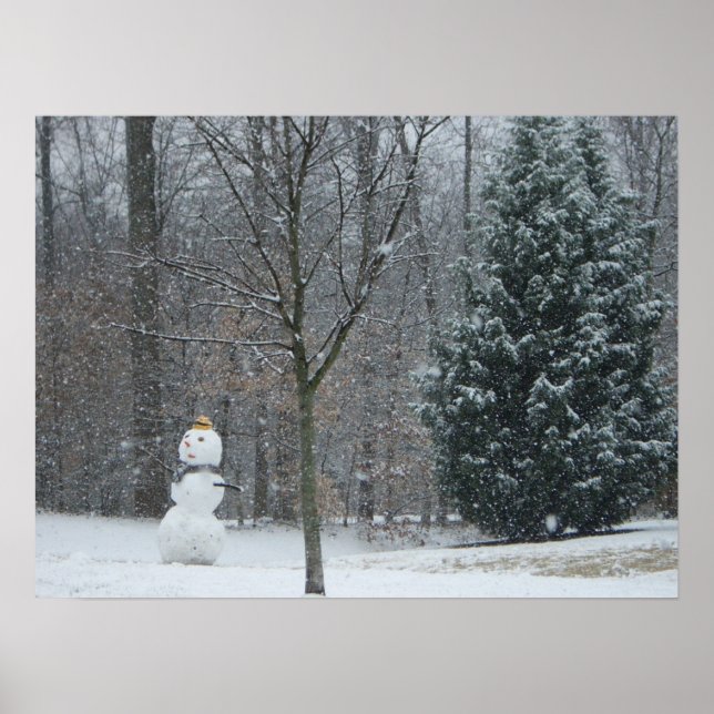 Póster La escena de nieve en invierno de los nevados del  (Frente)