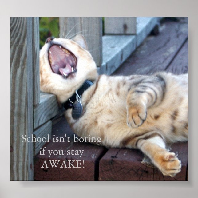 Póster La escuela no es aburrida (Frente)