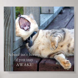 Póster La escuela no está agujereando