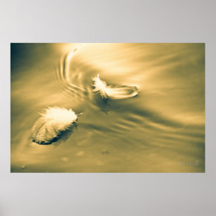 Póster La esperanza es lo que pasa con las plumas