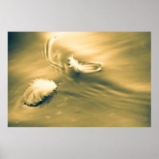 Póster La esperanza es lo que pasa con las plumas