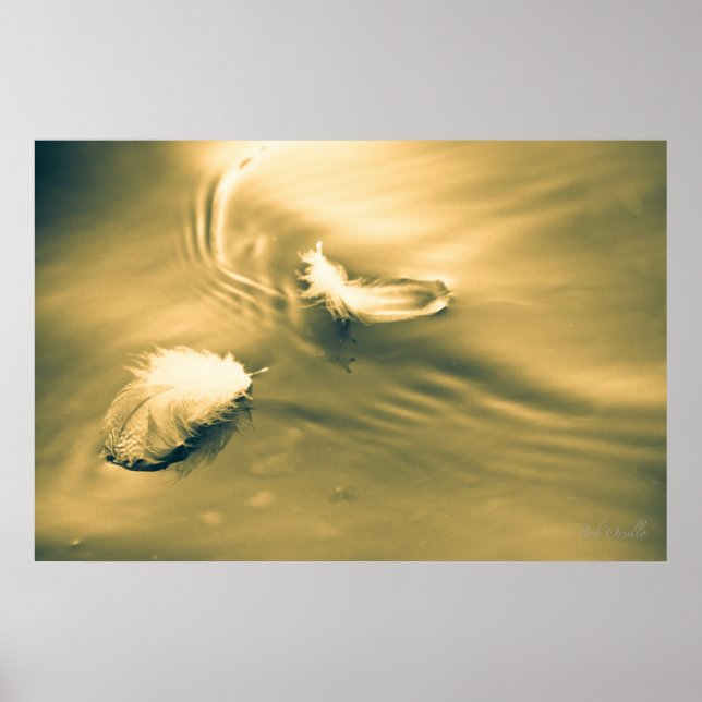 Póster La esperanza es lo que pasa con las plumas (Frente)