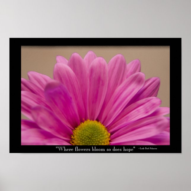 Póster La esperanza florece del rosado Gerber Daisy (Frente)