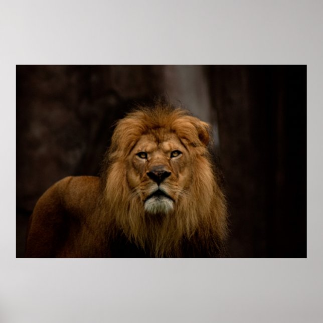 Póster La Estrella (Frente)