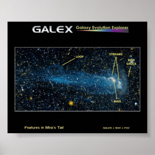 Póster La estrella detallada Mira con la cola