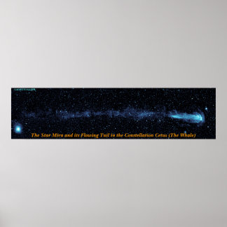 Póster La estrella mira con cola flotante