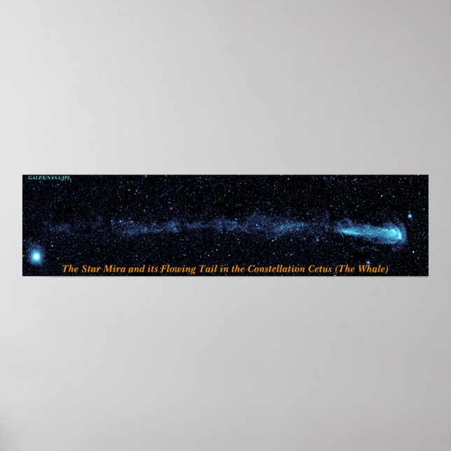 Póster La estrella mira con cola flotante (Frente)