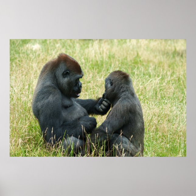 Póster La eternidad del hermano del gorila (Frente)