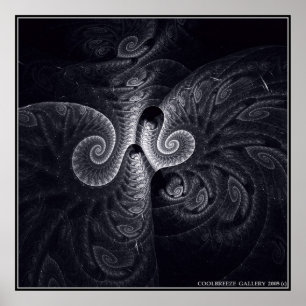 PÓSTER LA EVOLUCIÓN DE DARWIN