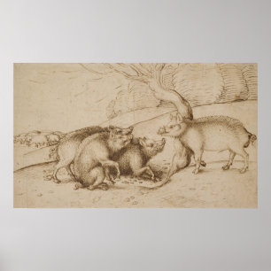 Póster La familia Boar