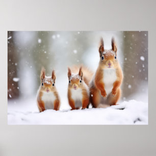 Póster La familia de los animales de ardilla