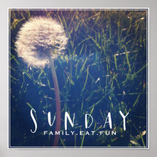 Póster La familia dominical come diversión