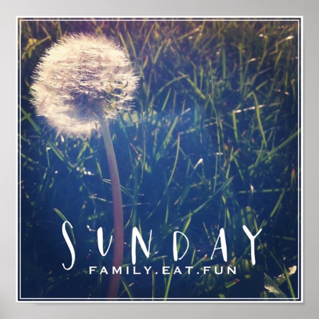 Póster La familia dominical come diversión (Frente)