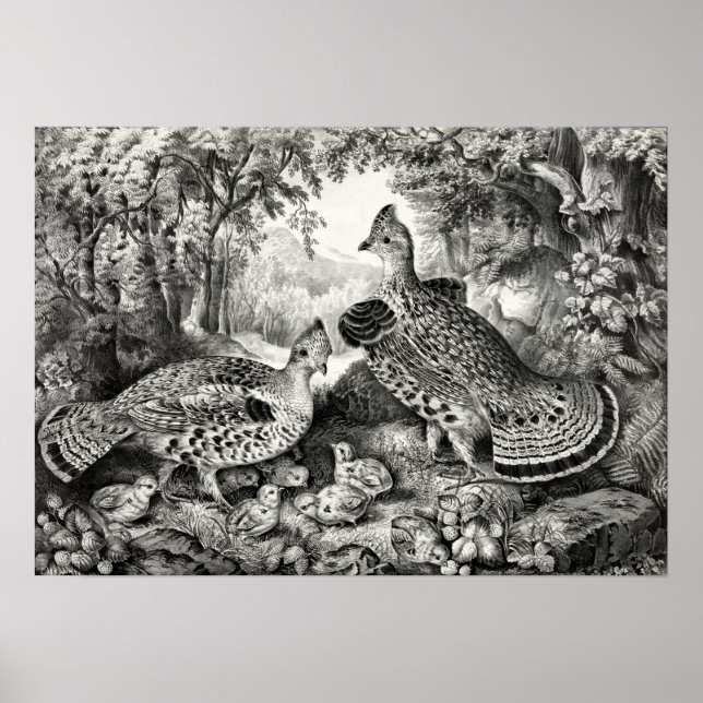 Póster La familia feliz - grupo espumoso y joven - 1866 (Frente)