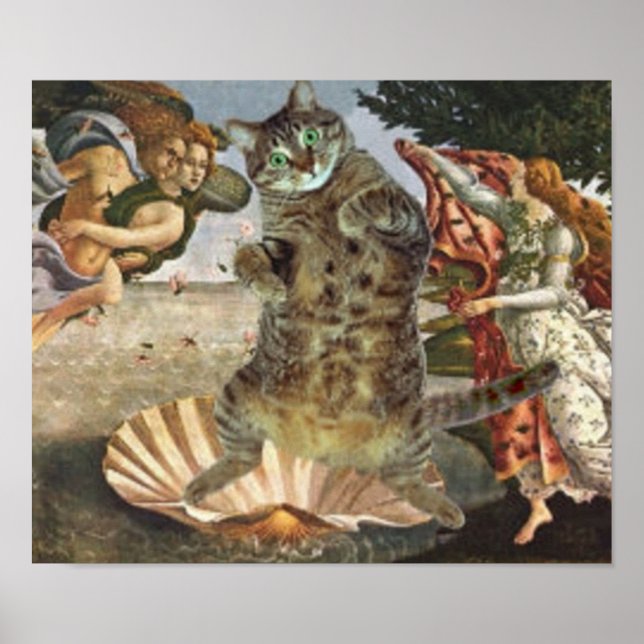 Póster La famosa Venus de Botticelli es realmente un gato (Frente)